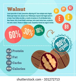 Infographics walnut and vitamins in flat style. Vector illustration for shops, market place and food banners. 