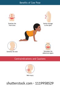 Infographics of yoga pose. Benefits and contraindications of Cow Yoga Pose. Cartoon style illustration isolated on white background.