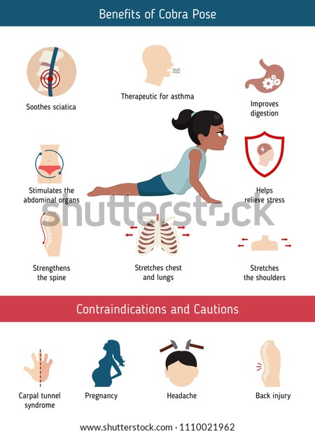 Infographics Yoga Pose Benefits Contraindications Cobra Stock Vector ...