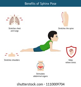 Infographics of yoga pose. Benefits of Sphinx Yoga Pose. Cartoon style illustration isolated on white background.