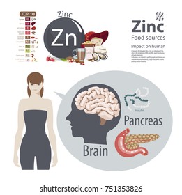 Infographics. Zinc. Food sources and influence on human health.