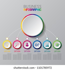 information graphic or infographic element rainbow circle for business