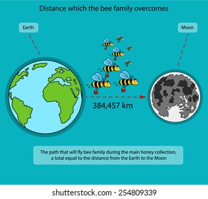 The information poster containing information about volume what distance a bee family flies by during the main honey collecting. It is executed in style of flat design.