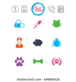 Information, report and calendar signs. Veterinary, pets icons. Paw, syringe and bone signs. Pills, cat and doctor symbols. Classic simple flat web icons. Vector