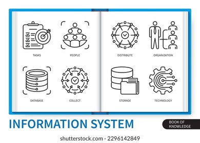 Information system infographics elements set. Tasks, organisation, database, collect, storage, distribute, people, technology. Web vector linear icons collection