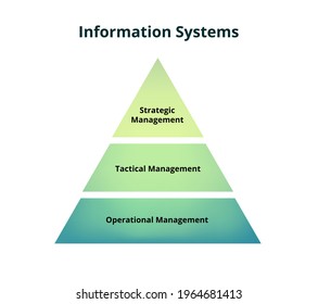 The information system pyramid, types of information systems. The vector scheme is isolated on white background. Strategic, managerial, and operational information system. EIS, MIS, transaction system