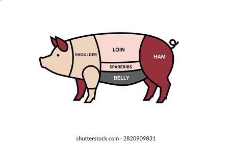 Informative diagram of a pig showing various meat cuts including shoulder, loin, spareribs, belly, and ham on a light background.
