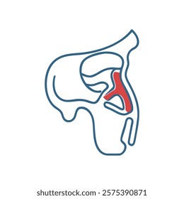 Informative Ethmoid Bone Anatomy Design Illustration