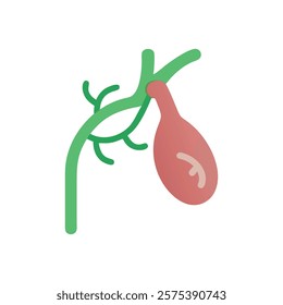 Informative Icon of Gallbladder Anatomy