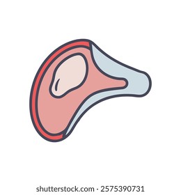 Informative Icon of Glenoid Cavity Anatomy