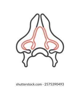 Informative Icon of Inferior Nasal Concha Anatomy