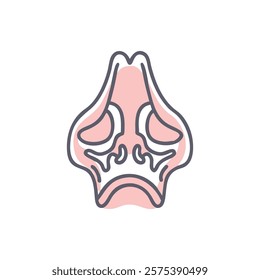 Informative Icon of Inferior Nasal Concha Anatomy