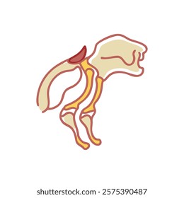 Informative Icon of Infraspinous Fossa Anatomy