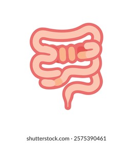 Informative Icon of Intestine Anatomy