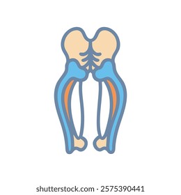 Informative Icon of Ischium Anatomy