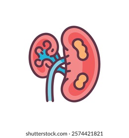 Informative Icon of Kidney Anatomy for Education