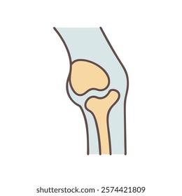 Informative Icon of Knee Joint Anatomy