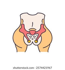 Informative Icon of Lesser Sciatic Notch Anatomy