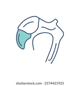 Informative Icon of Lesser Tubercle Anatomy