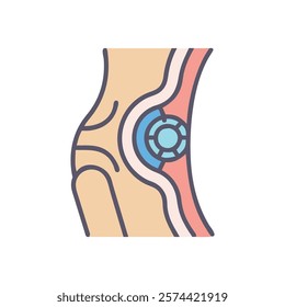 Informative Icon of Ligament Anatomy for Education