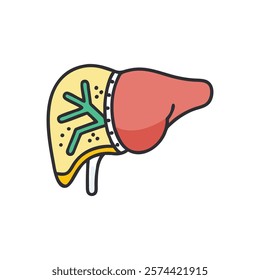 Informative Icon of Liver Anatomy for Education