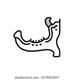 Informative Icon of Mandible Anatomy