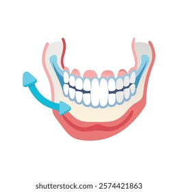 Informative Icon of Mandible Anatomy