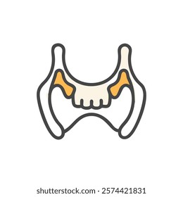 Informative Icon of Maxilla Anatomy