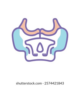 Informative Icon of Maxilla Anatomy for Education