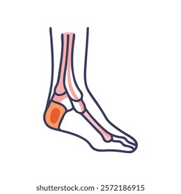 Informative Icon of Medial Malleolus Anatomy