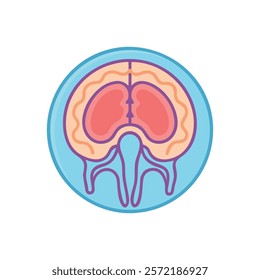 Informative Icon of Meninges Anatomy