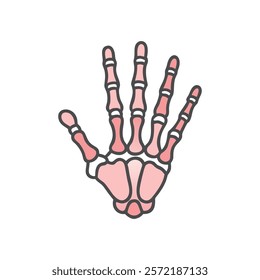 Informative Icon of Metacarpal Bones Anatomy