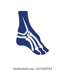 Informative Icon of Navicular Bone Anatomy