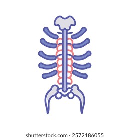 Informative Icon of Palatine Bones Anatomy