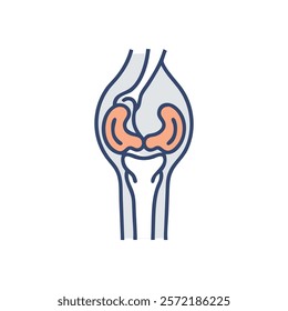 Informative Icon of Patella Anatomy