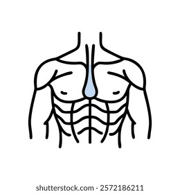 Informative Icon of Pectoralis Major Muscle Anatomy