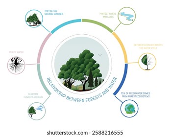 Informative illustration about the relationship between forests and the water cycle, highlighting their impact on humidity, purification, and river and lake conservation.