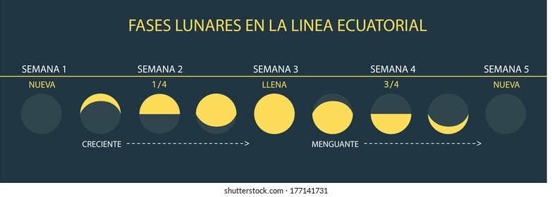 Informative Vector Illustration of Moon Cycles - at Equator (Spanish)