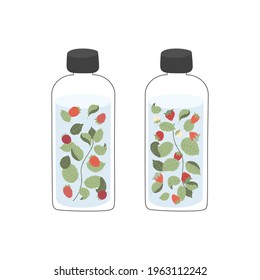 Infused water with mint and raspberries, and mint and wild strawberries in glass bottles. Detox and refreshment drink concept. Isolated vector illustration.