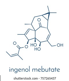 ingenol mebutate (ingenol-3-angelate) actinic keratosis treatment drug molecule. Skeletal formula.