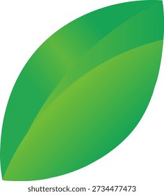 ingle minimalist green leaf vector illustration with gradient effect for eco-friendly branding and environment design projects