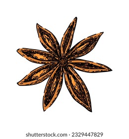 ingredient anise star hand drawn. chinese condiment, herb seed, ed cooking ingredient anise star vector sketch. isolated color illustration