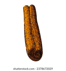 ingredient cinnamon hand drawn. aromatic dry, cinnamon stick, cinamon powder ingredient cinnamon vector sketch. isolated color illustration