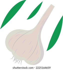 Ingredient zum Kochen von Knoblauch. Flacher Stil. Vektorgrafik.