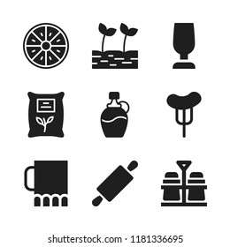 ingredient icon. 9 ingredient vector icons set. salt and pepper, rolling and orange icons for web and design about ingredient theme