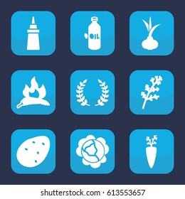 Ingredient icon. set of 9 filled ingredient icons such as potato, onion, cabbage, deel, chili, oil, ketchup, olive branch