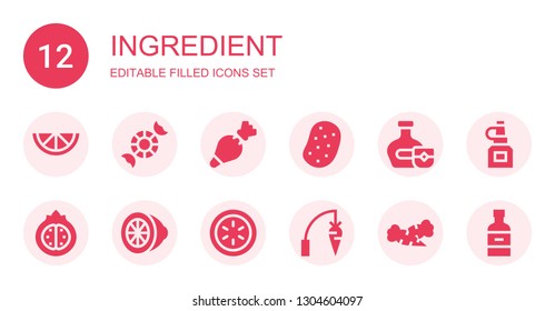 ingredient icon set. Collection of 12 filled ingredient icons included Lemon, Peppermint, Pastry bag, Potato, Whiskey, Pomegranate, Cucumber, Carrot, Oil bottle