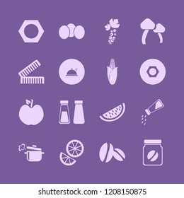 ingredient icon. ingredient vector icons set salt pepper shaker, proper meal, black currant berry and boiled pan