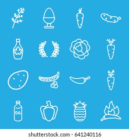 Ingredient icons set. set of 16 ingredient outline icons such as potato, carrot, peas, cabbage, deel, chili, oil, maple syrup, pepper, cucumber, egg, pineapple, olive branch