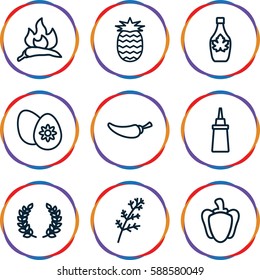 ingredient icons set. Set of 9 ingredient outline icons such as deel, chili, ketchup, maple syrup, pepper, easter egg, pineapple